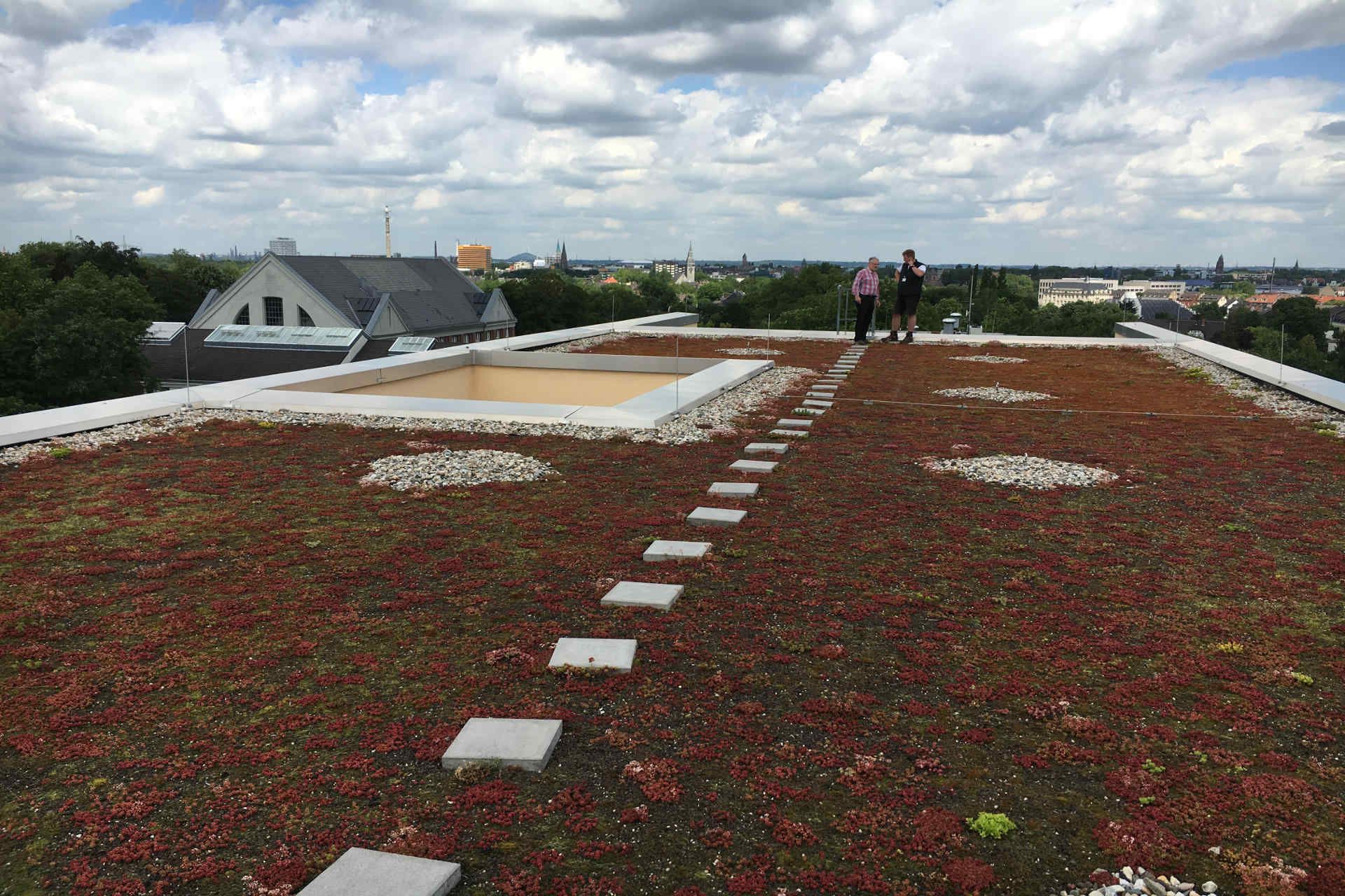 Flachdach mit Dachbegrünung